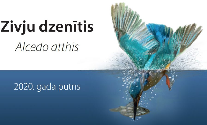 Gada putna zīmējumu konkurss «Zivju dzenītis»