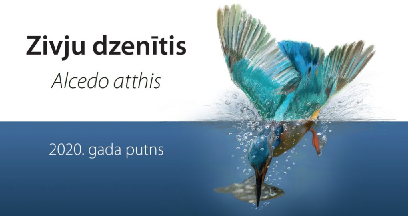 Gada putna zīmējumu konkurss «Zivju dzenītis»