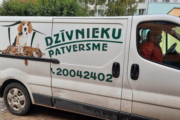 Savākti ziedojumi Daugavpils dzīvnieku patversmei