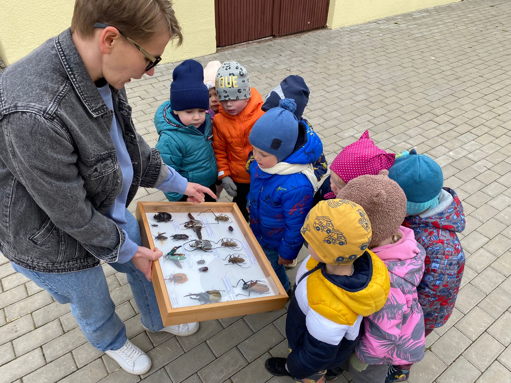 Iepazīstam kukaiņu pētnieces profesiju
