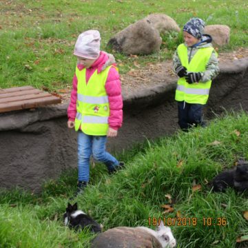 Trušu pilsētiņas atklāšana Latgales zoodārzā 16