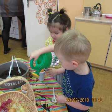 Sīpola draugi “Ausmiņā” 14